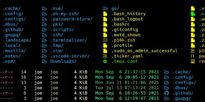 Customize Your Terminal: A Comprehensive Guide to Enhancing Your Linux CLI Experience